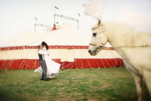 Свадьба в цирковом шатре